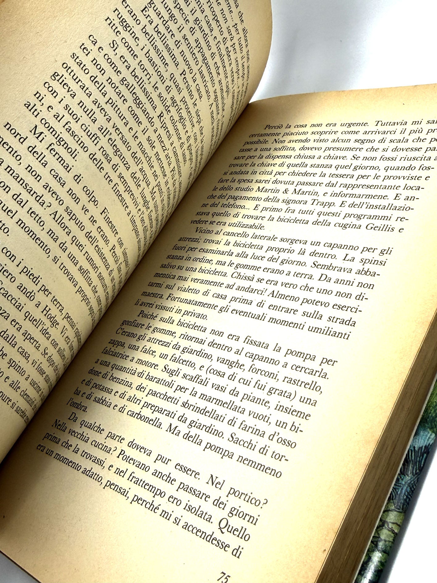 La foresta incantata Libro usato Mary Stewart Romanzo Rizzoli