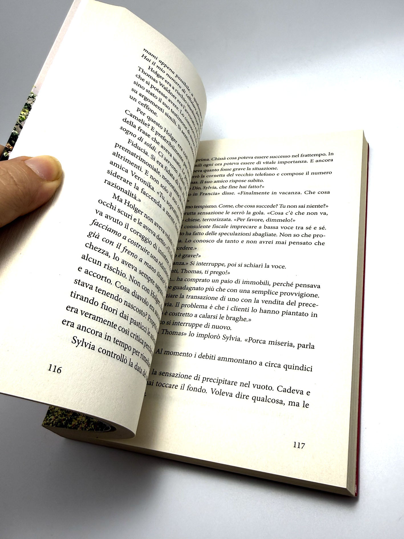 L'isola delle camelie Libro usato Tabea Bach Romanzo Giunti