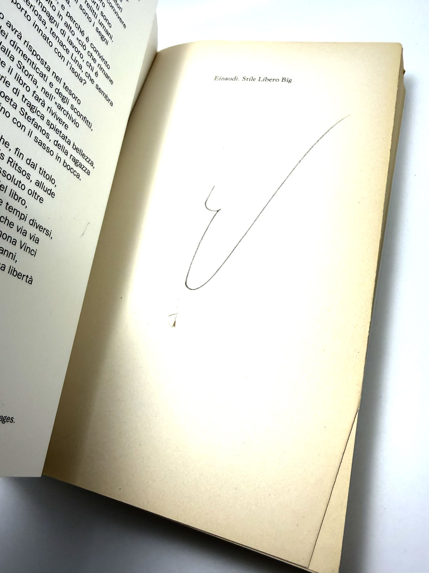 La prima verità Libro usato Simona Vinci Romanzo Einaudi