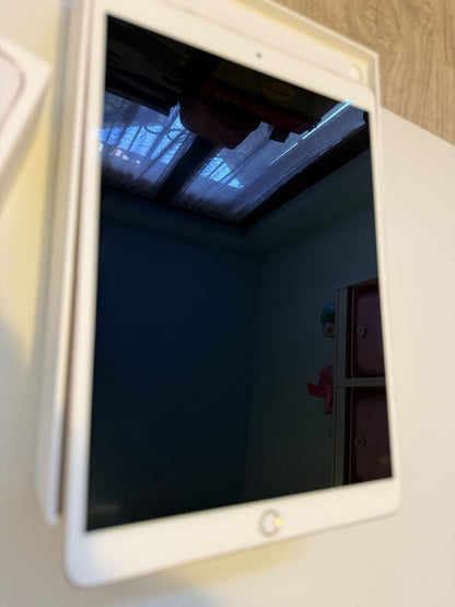 iPad Pro 10.5" 2017 Wi-Fi 256GB - Oro (Gold) + Scatola originale